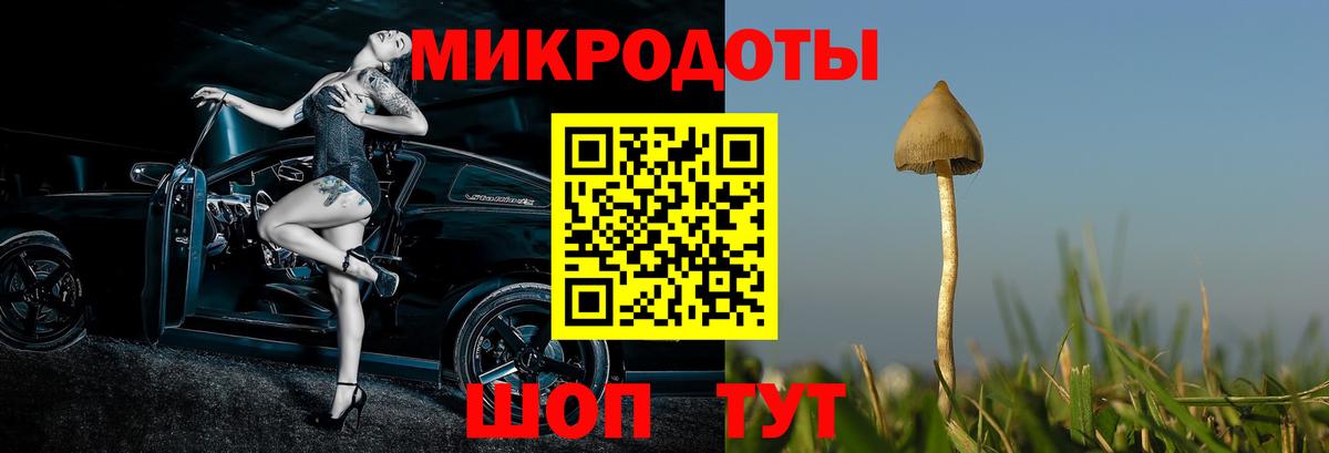 Псилоцибиновые грибы мухоморы Приморско-Ахтарск