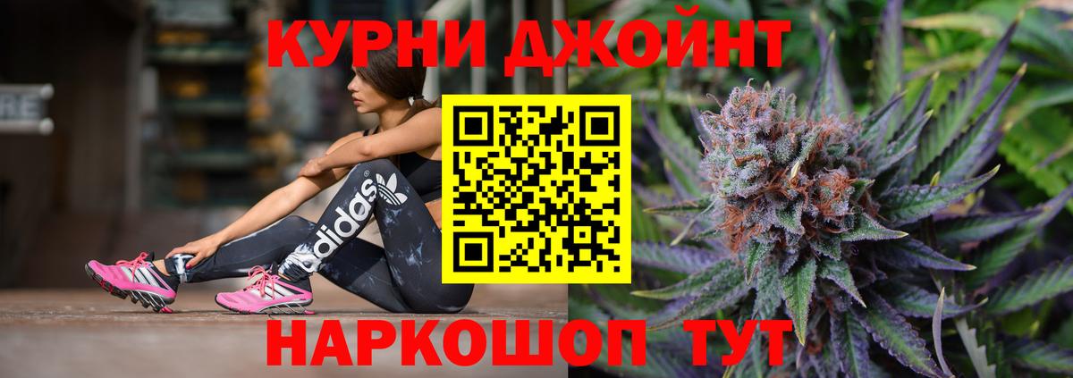 Каннабис планчик Приморско-Ахтарск
